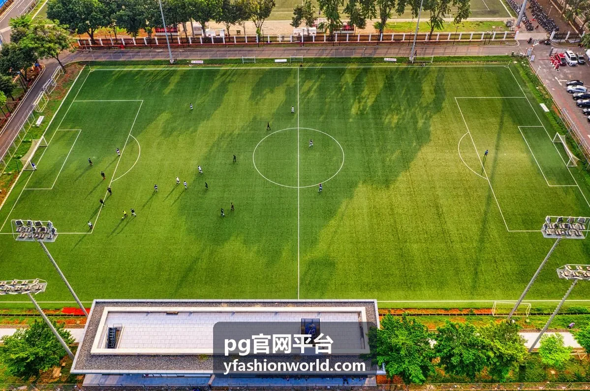 pg官网平台新访客浏览路径示意